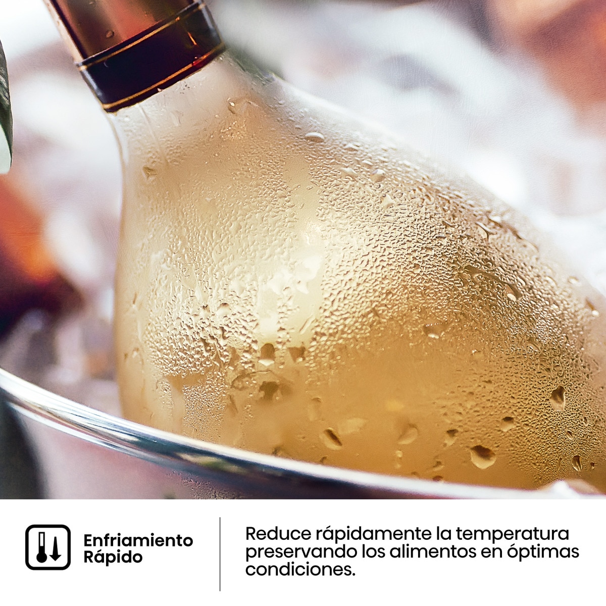 Imagen adicional del producto