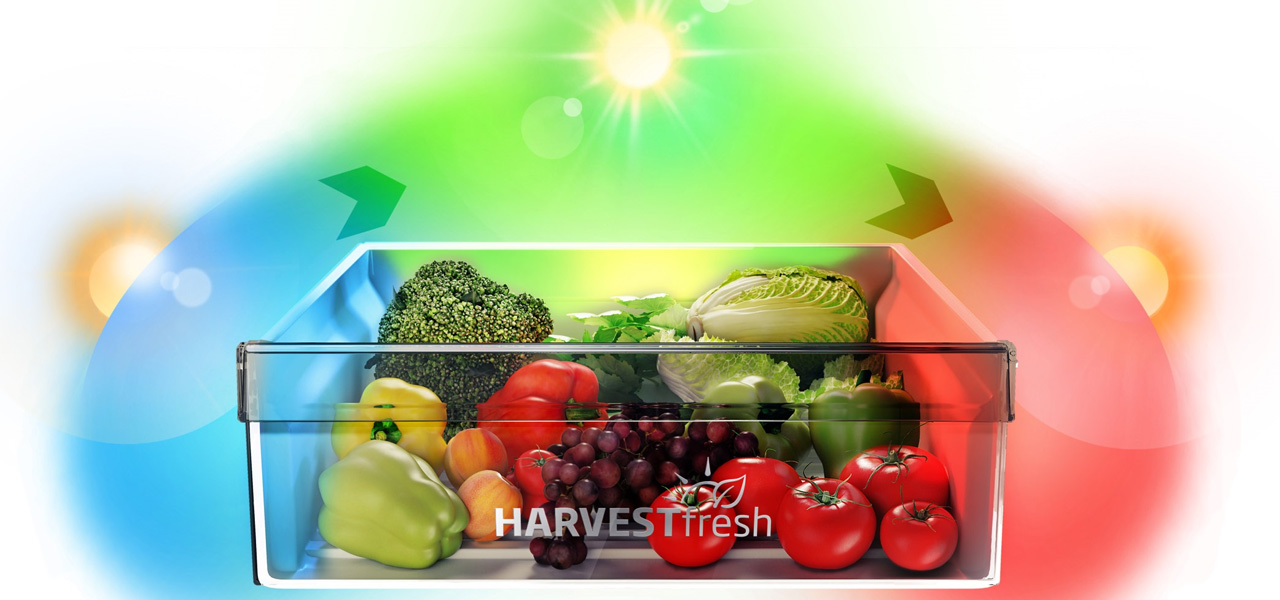 Imagen adicional del producto