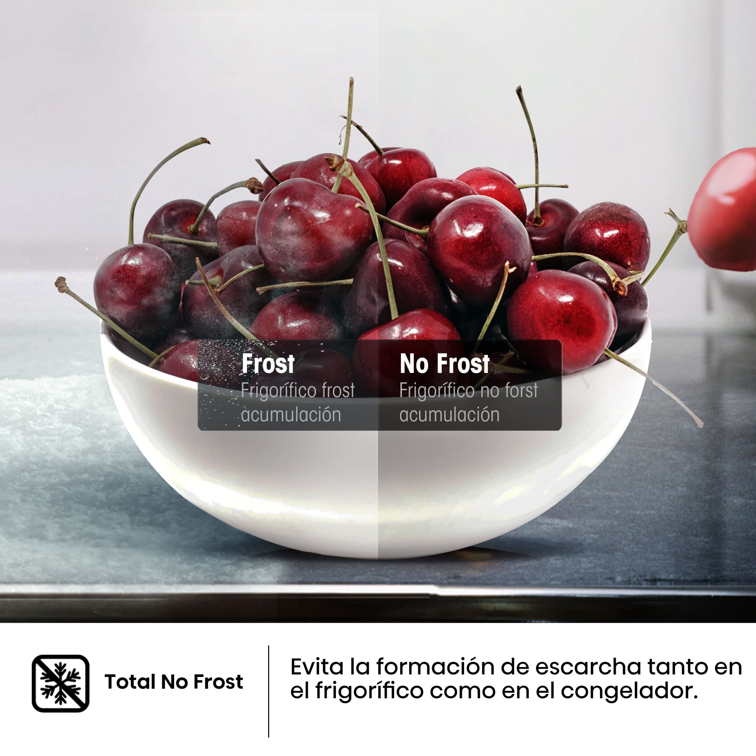 Imagen adicional del producto