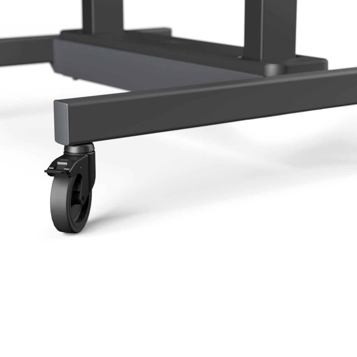 Imagen adicional del producto