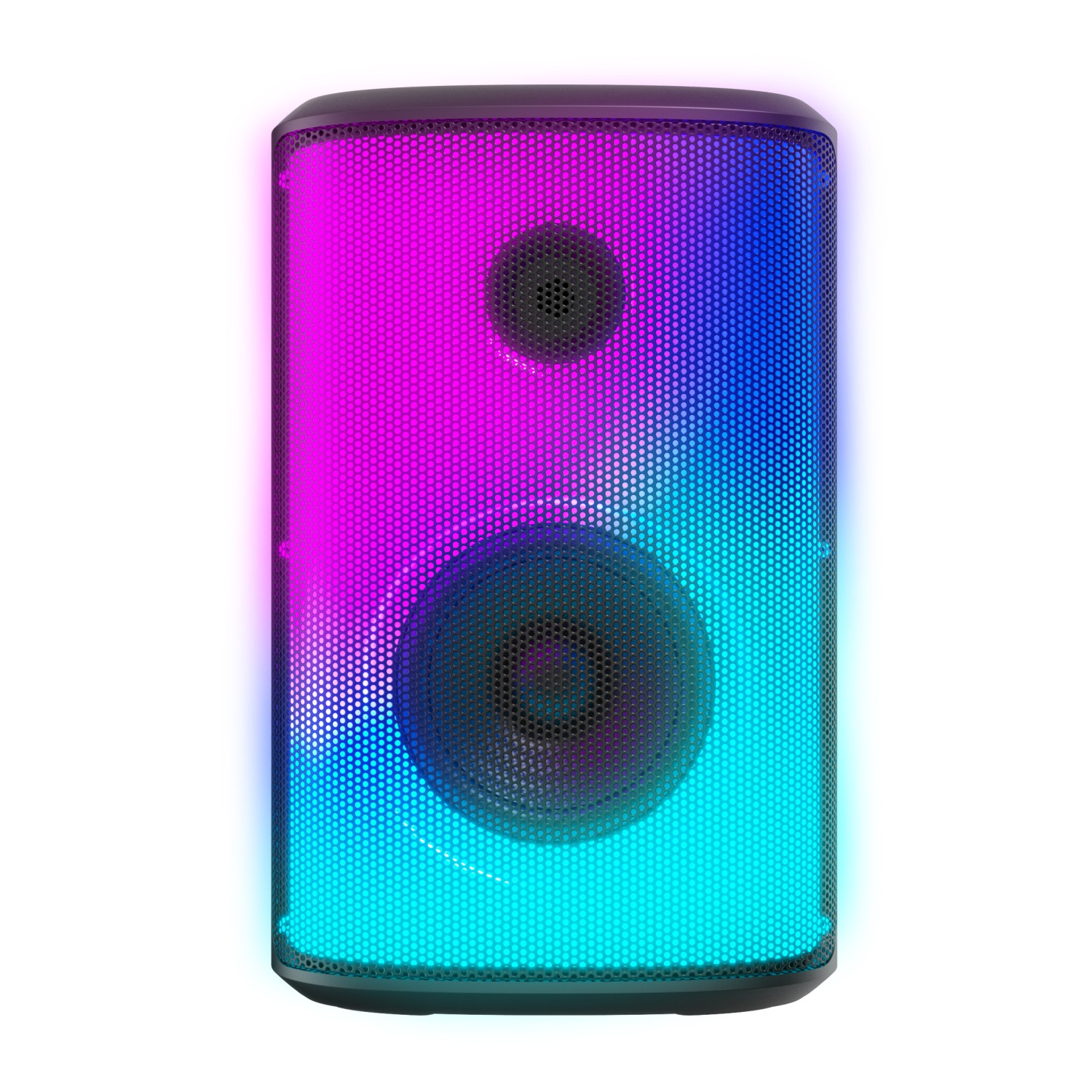 ALTAVOZ WOXTER WOXTER MONSTER XL