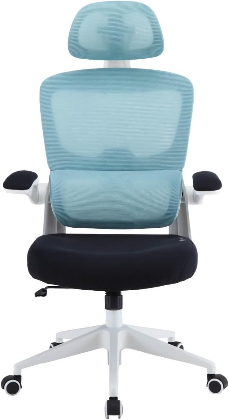 SILLA DE OFICINA WOXTER ERGO BLUE