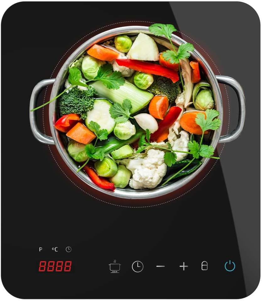 HORNILLO CECOTEC FULL MAGMA SINGLE 1F 2000W 2658