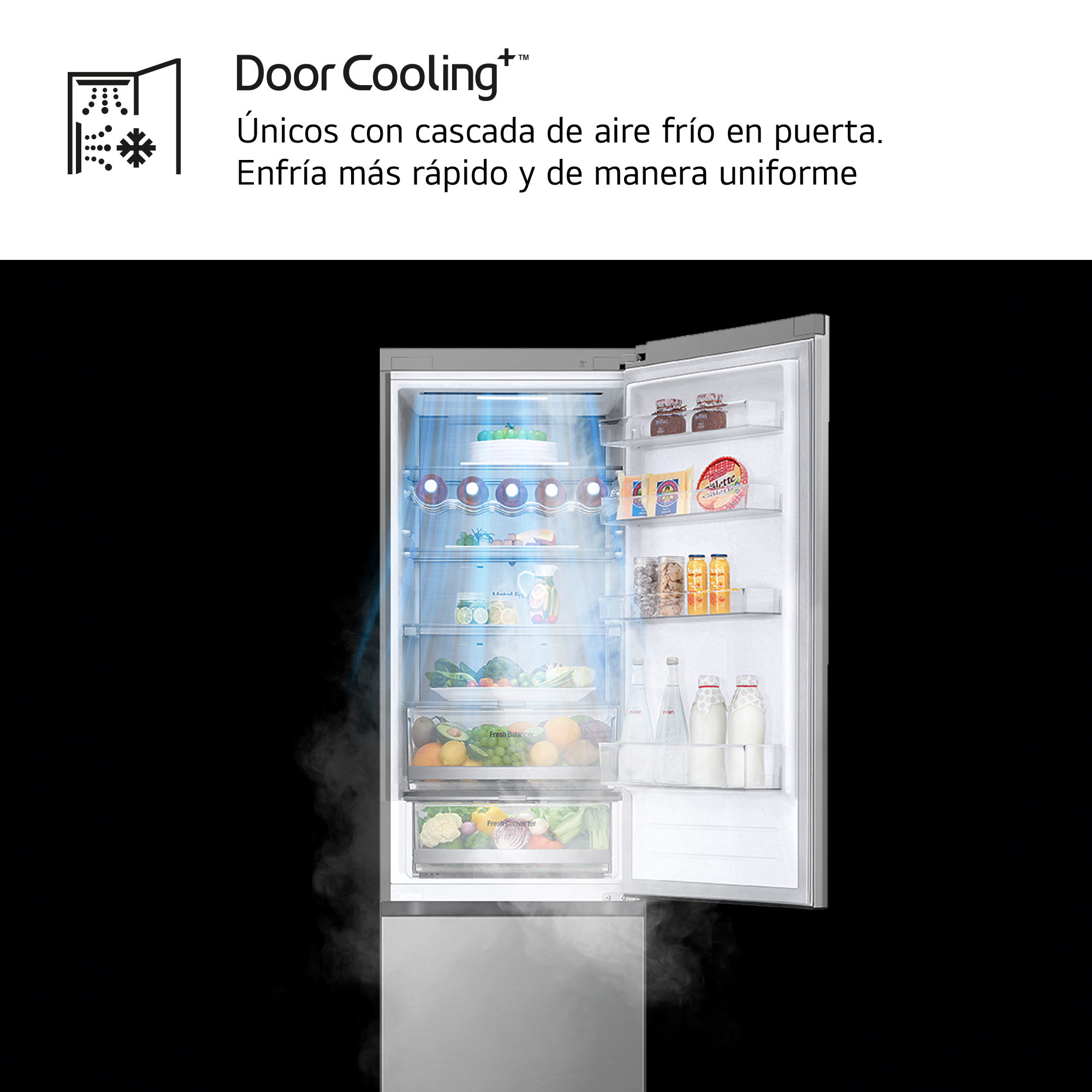 Imagen adicional del producto