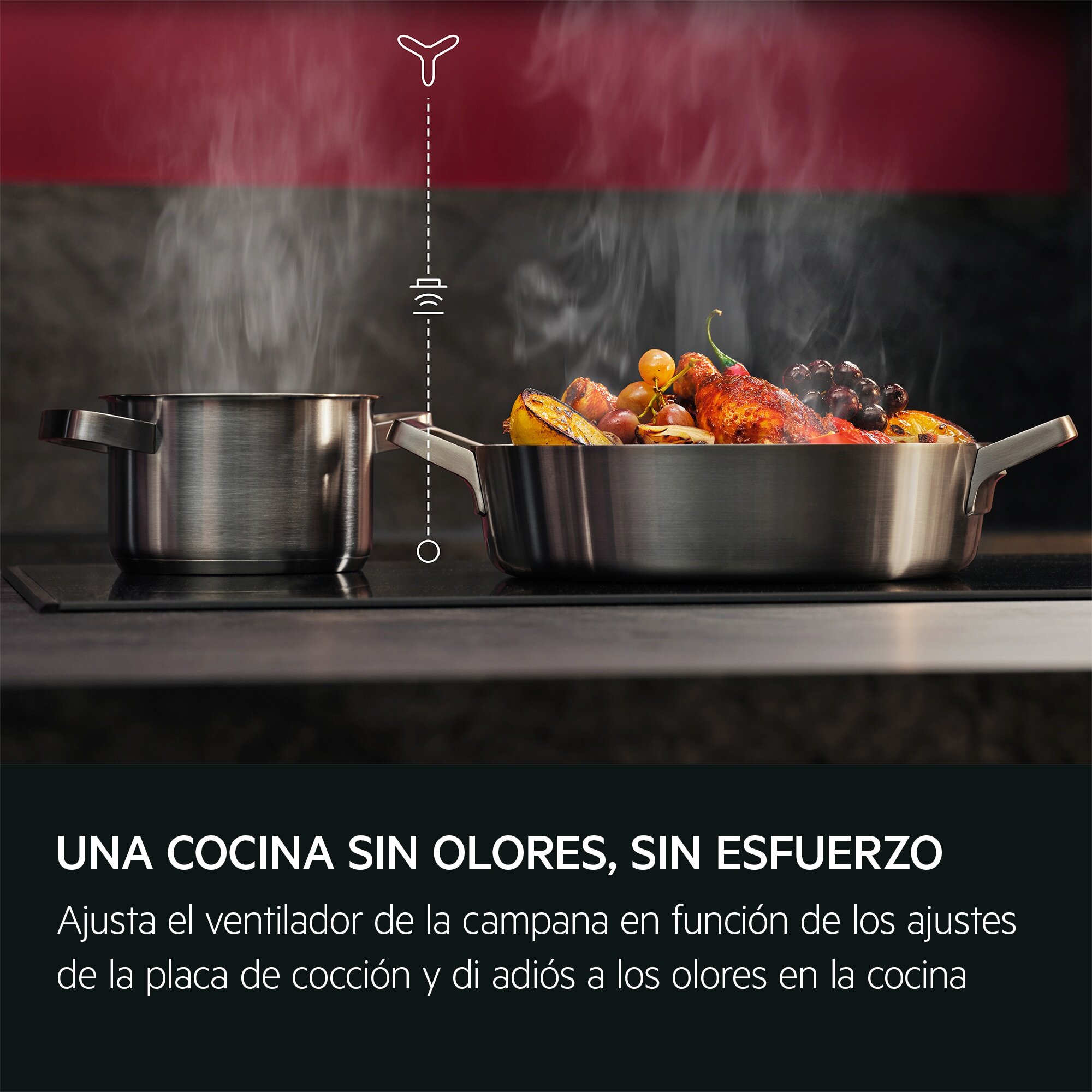 Imagen adicional del producto