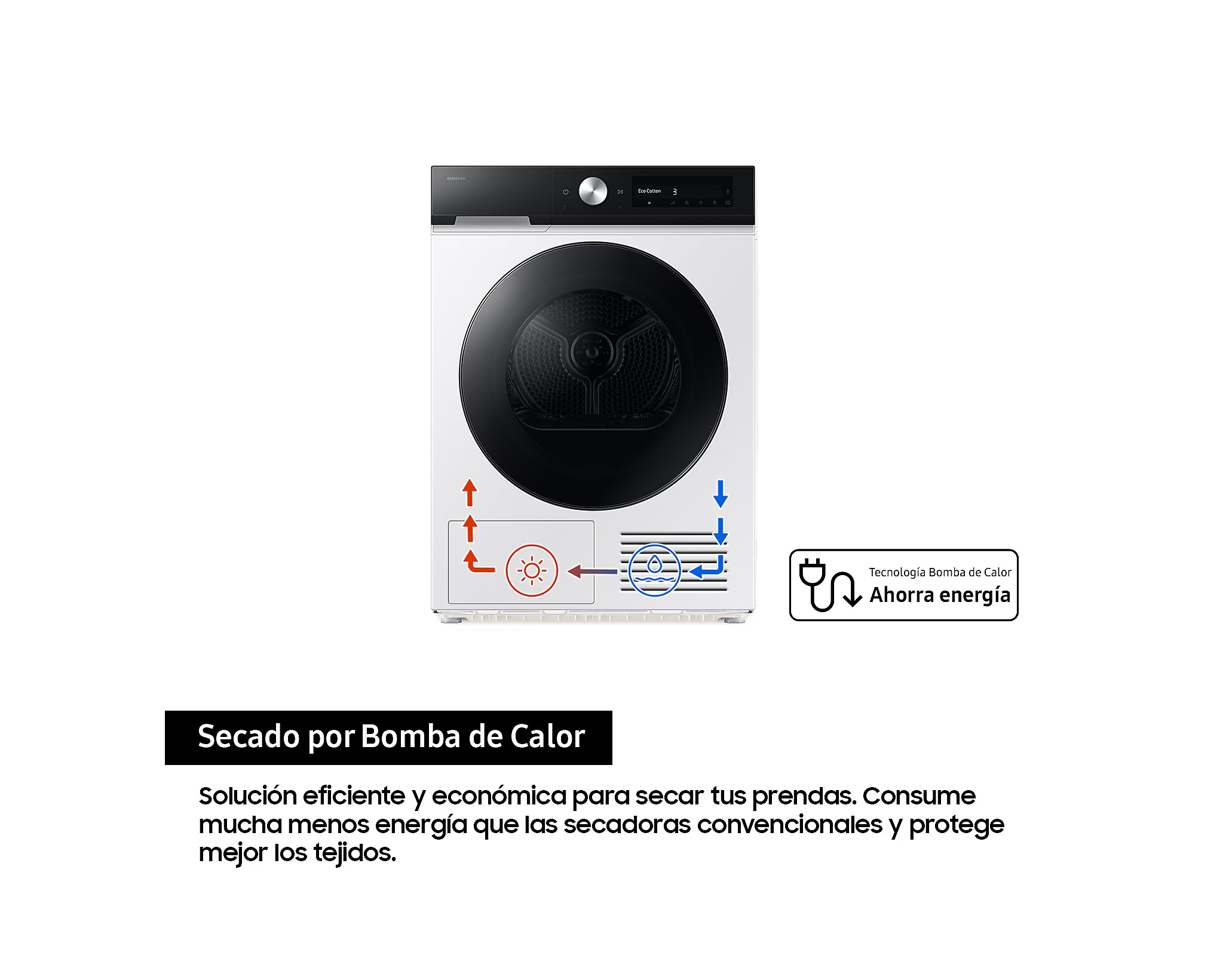 Imagen adicional del producto