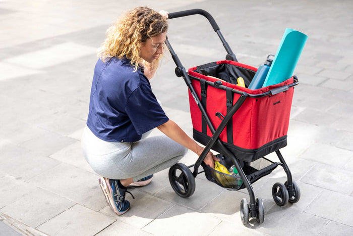 CARRO-COMPRA CARLETT CUBE S ICE