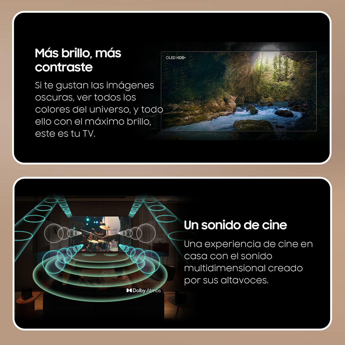 Imagen adicional del producto