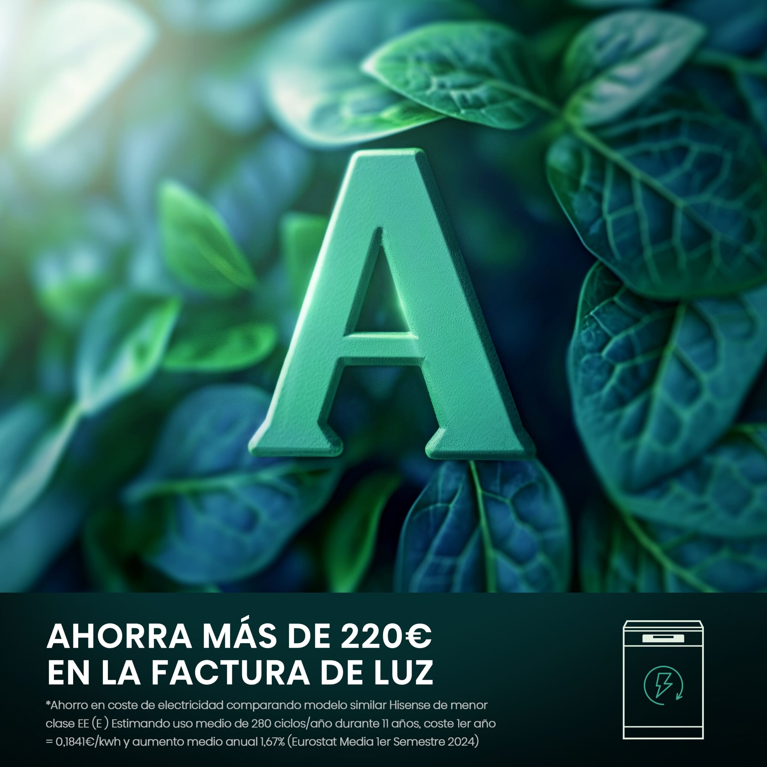 Imagen adicional del producto