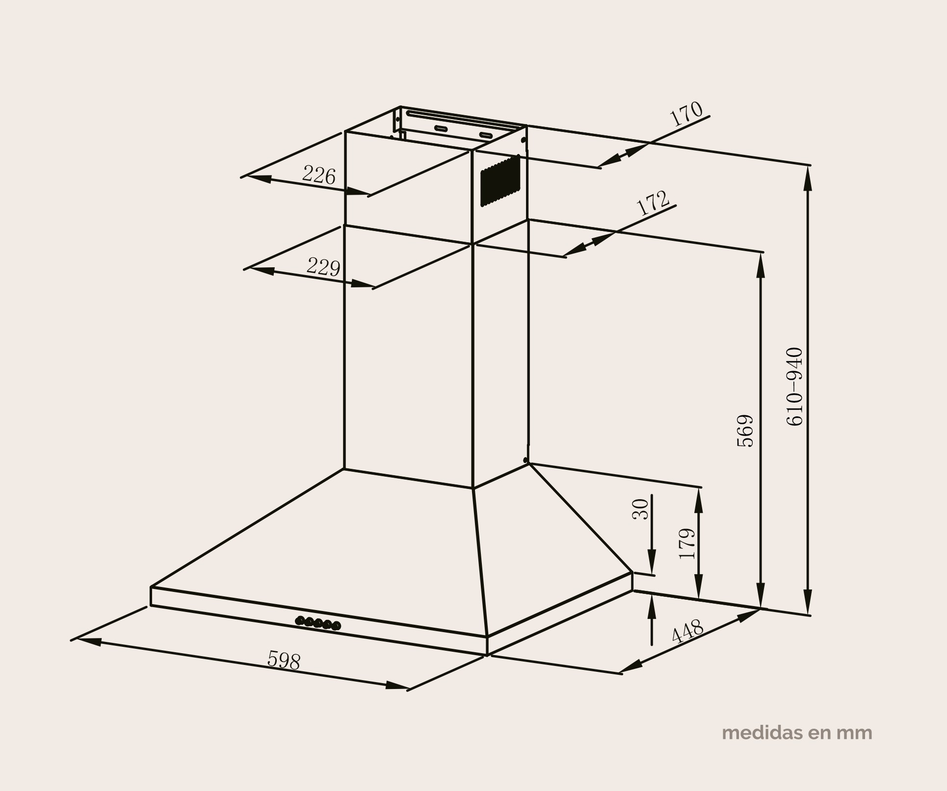 CAMPANA ARTICA APYRAM60BI 60CM B INOX