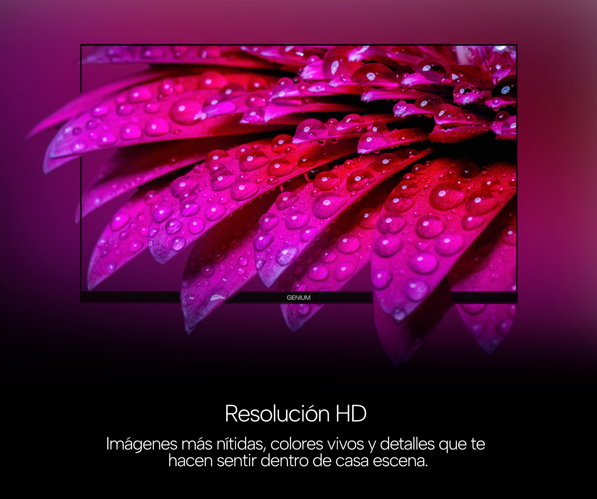 TV GENIUM 32" GTV32HD HD SMART TV