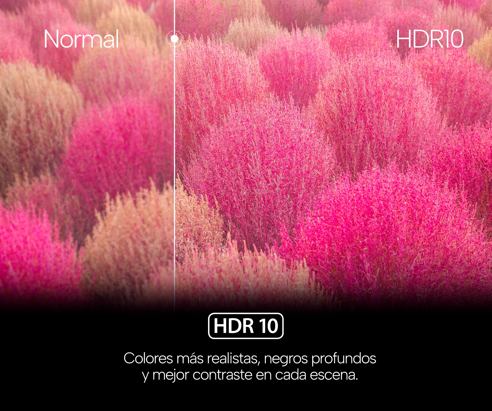 TV GENIUM 50" GTV50UHD UHD SMART TV