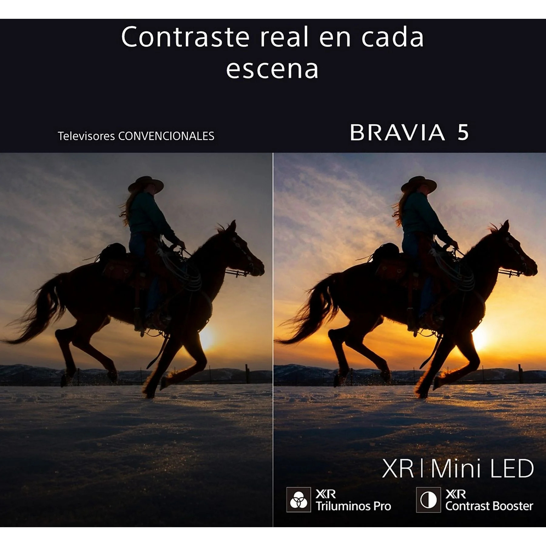 Imagen adicional del producto