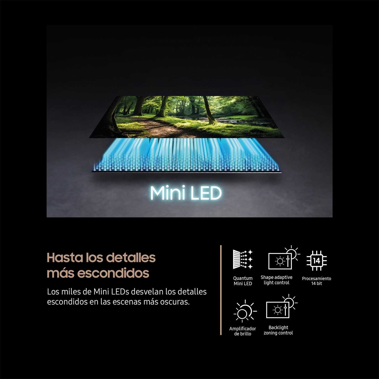 Imagen adicional del producto