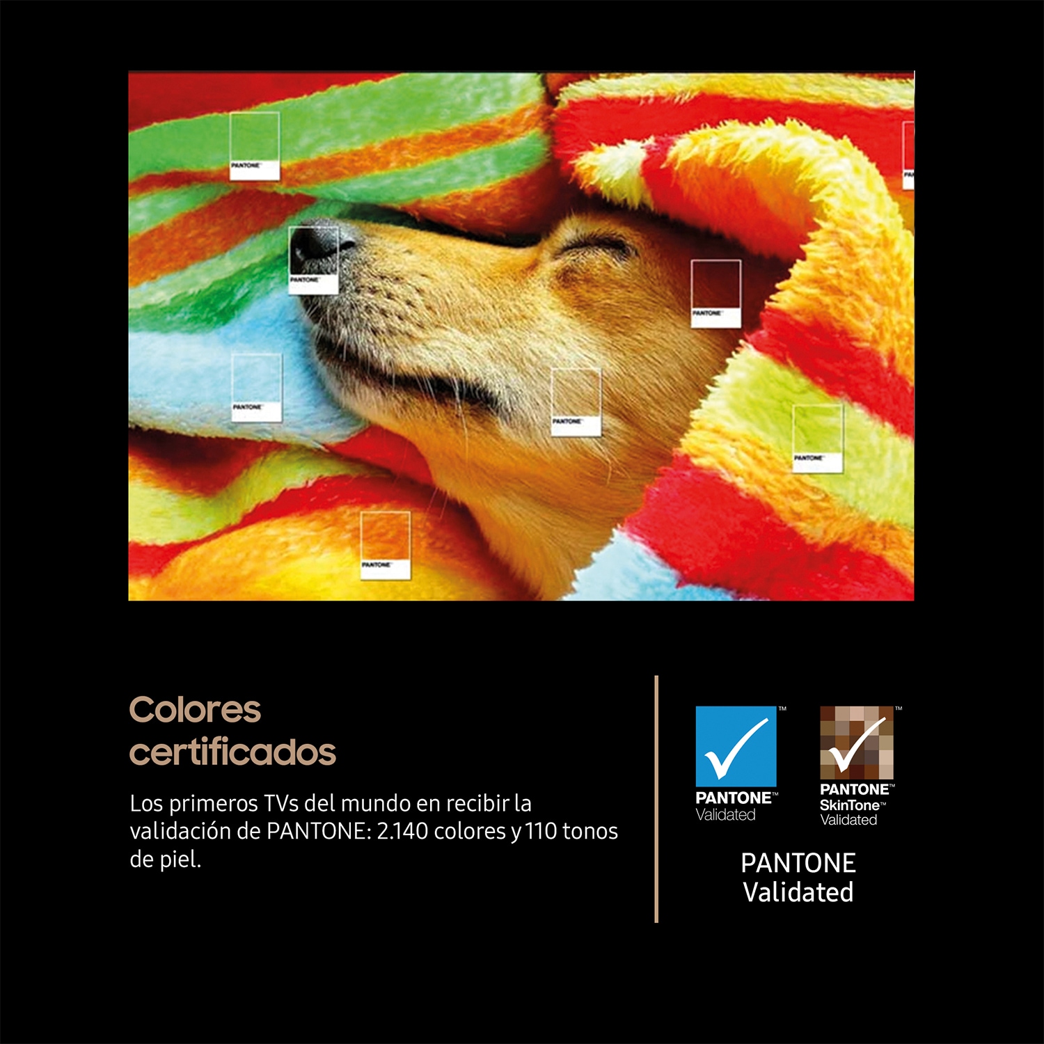 Imagen adicional del producto