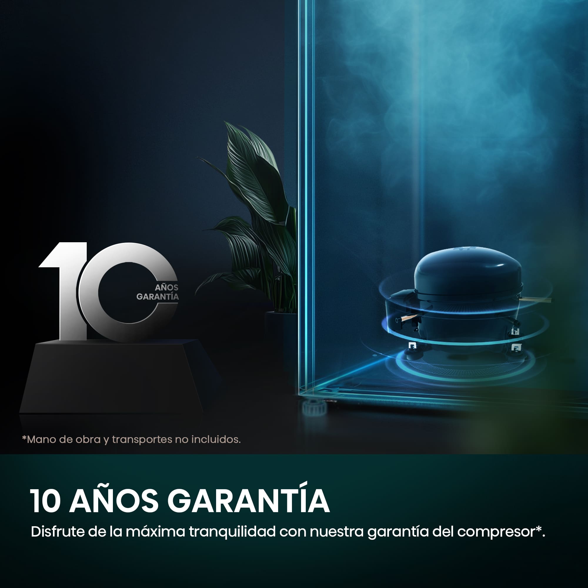 Imagen adicional del producto