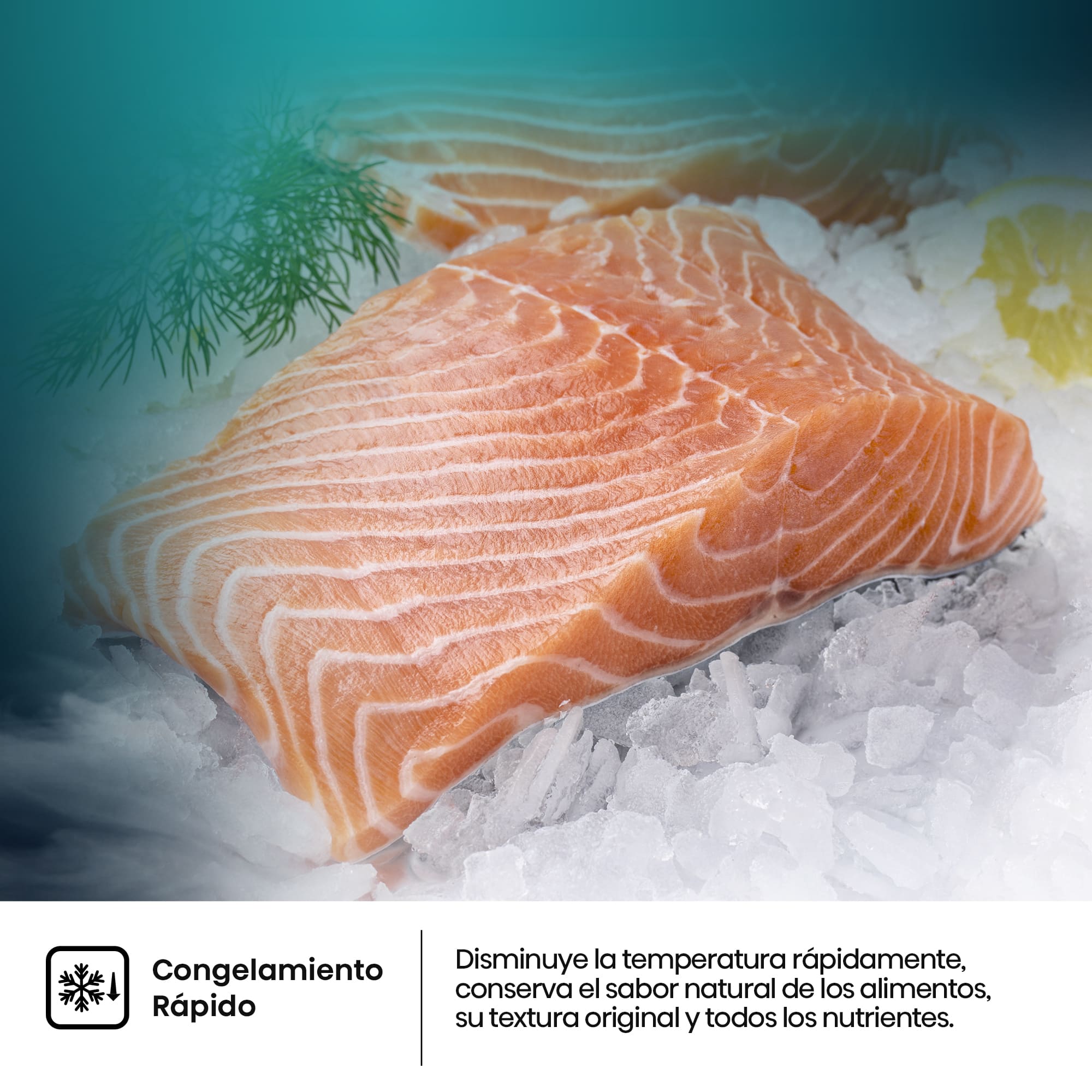 Imagen adicional del producto