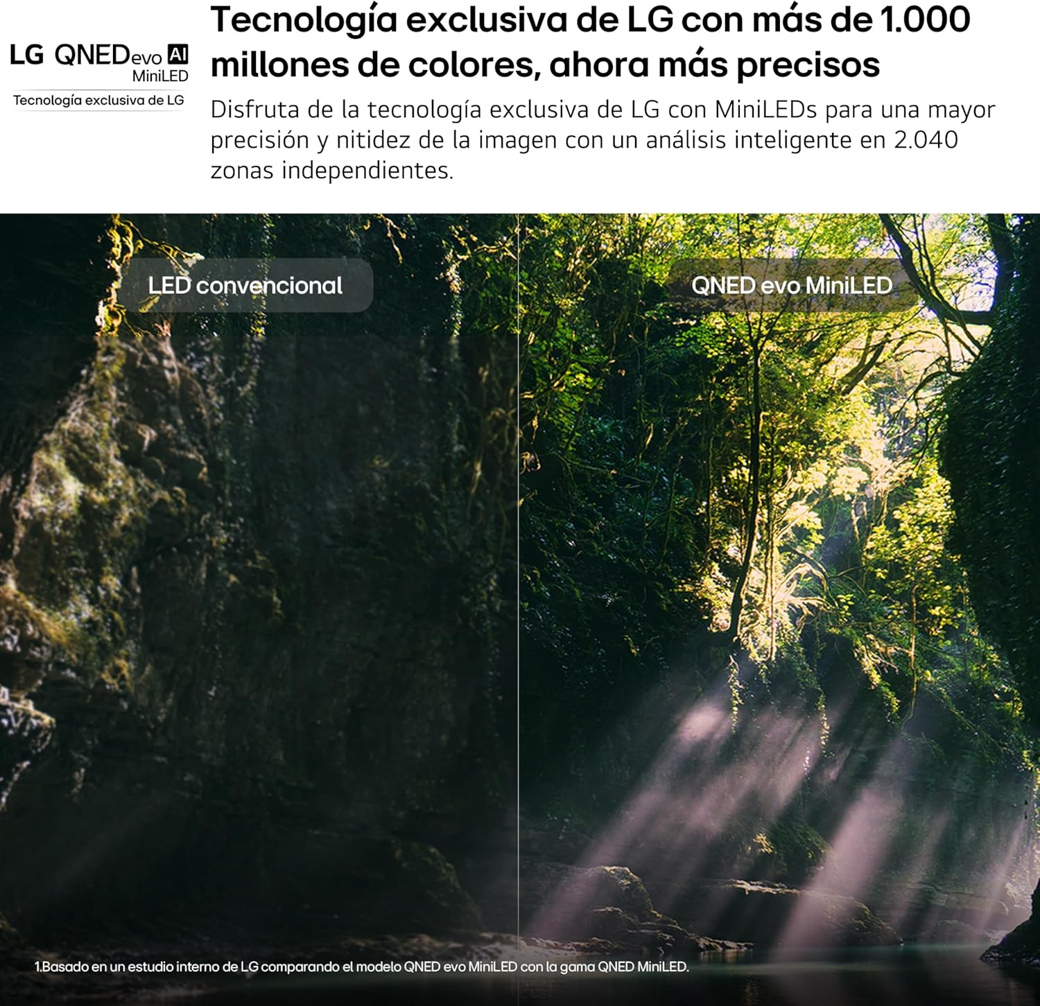 Imagen adicional del producto