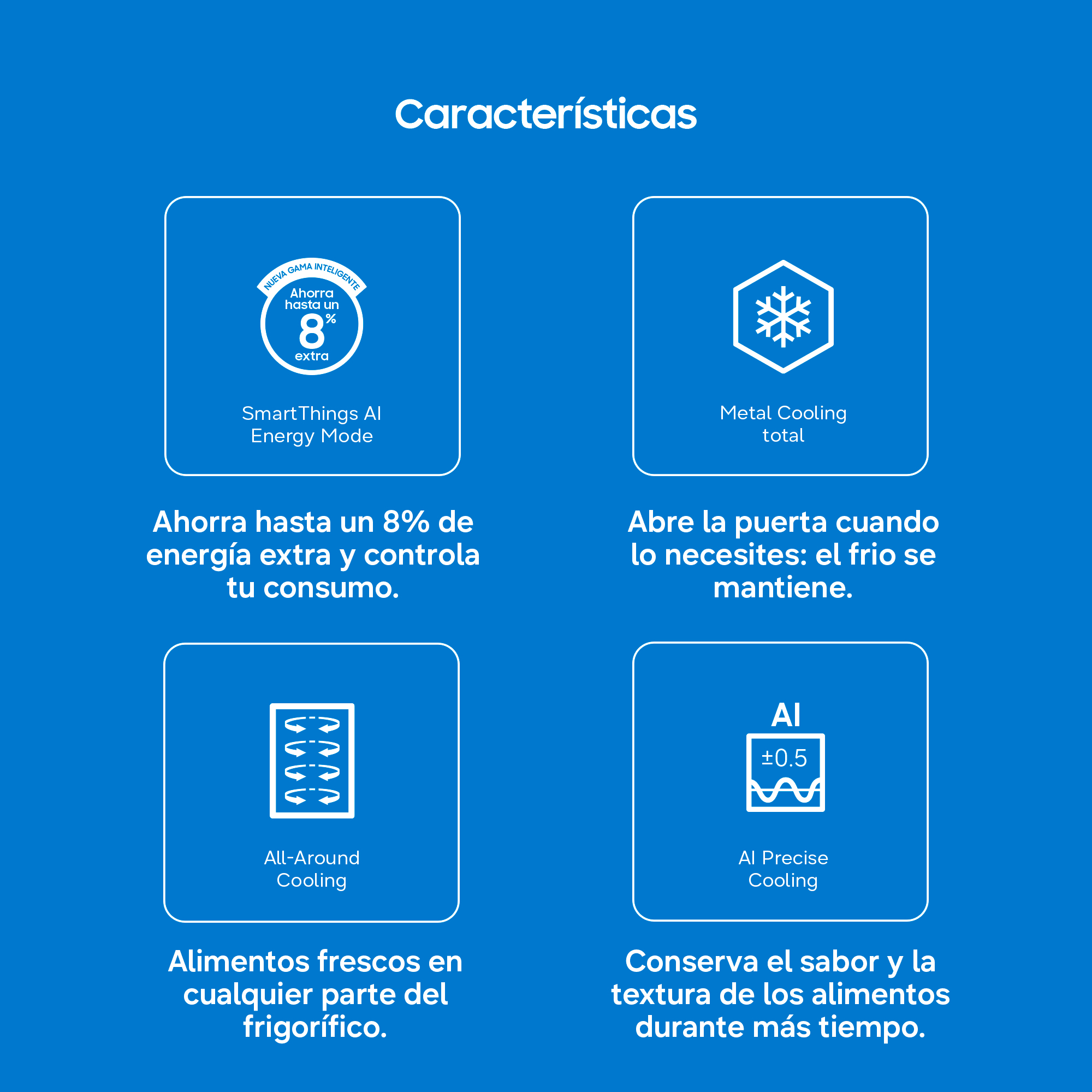 Imagen adicional del producto