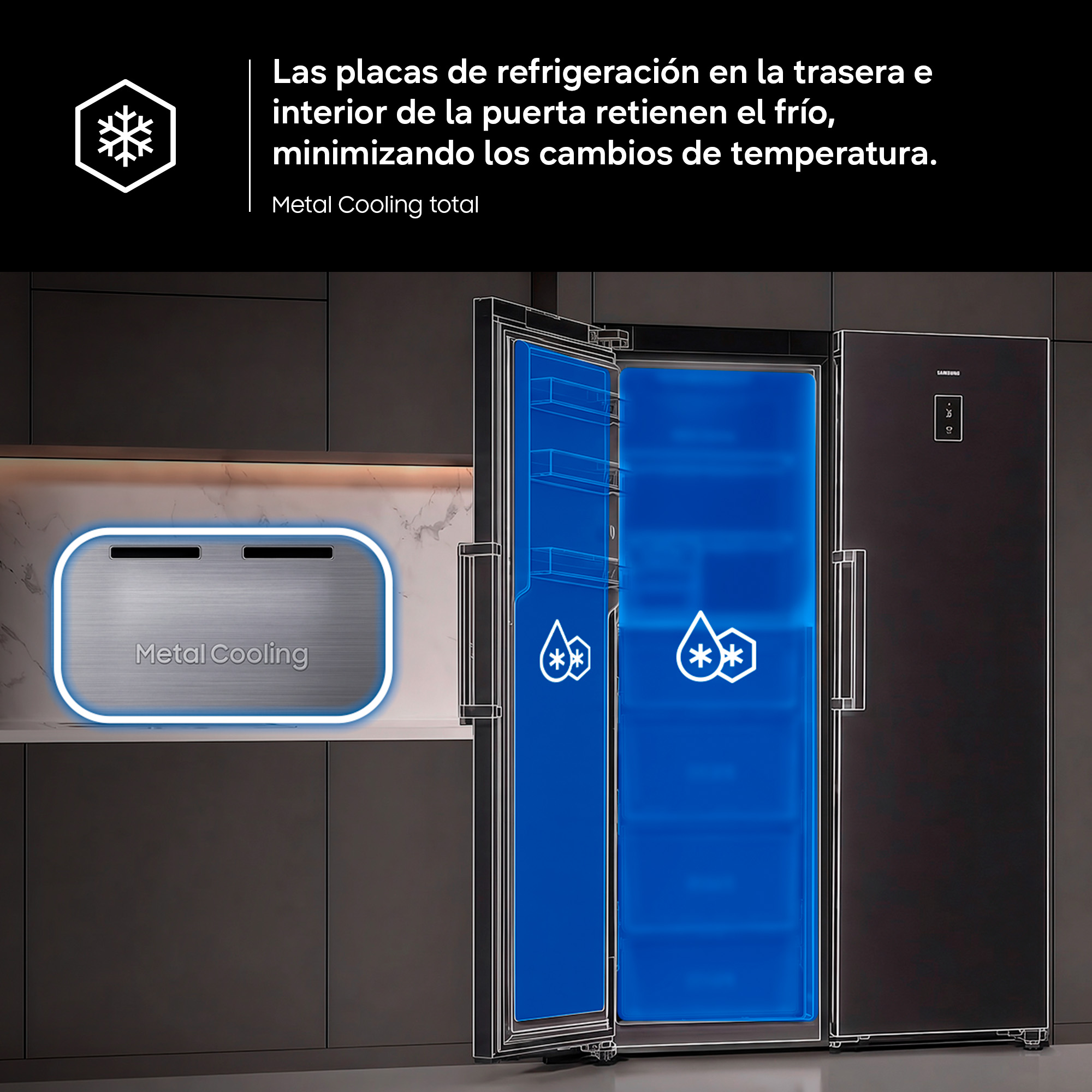 Imagen adicional del producto