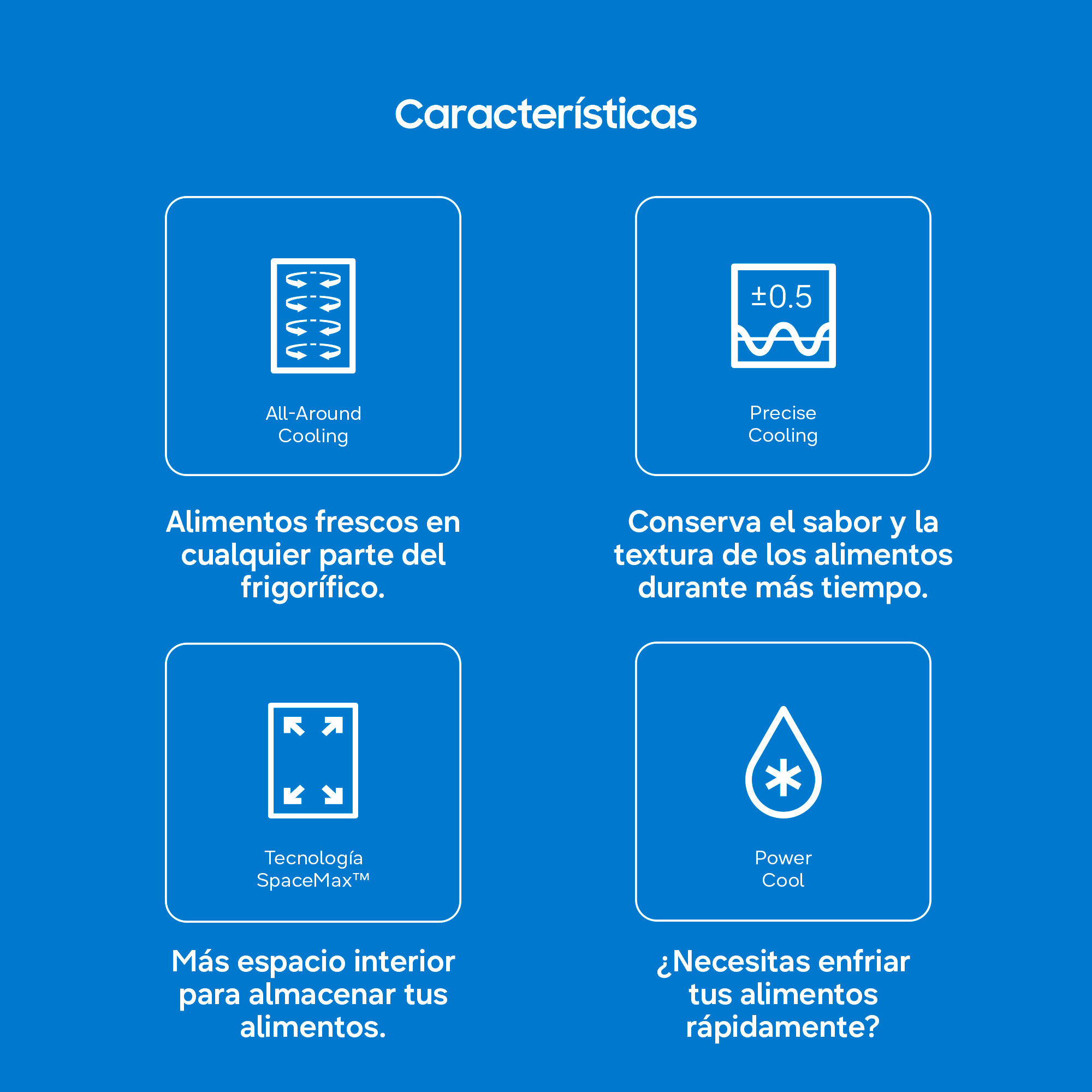Imagen adicional del producto
