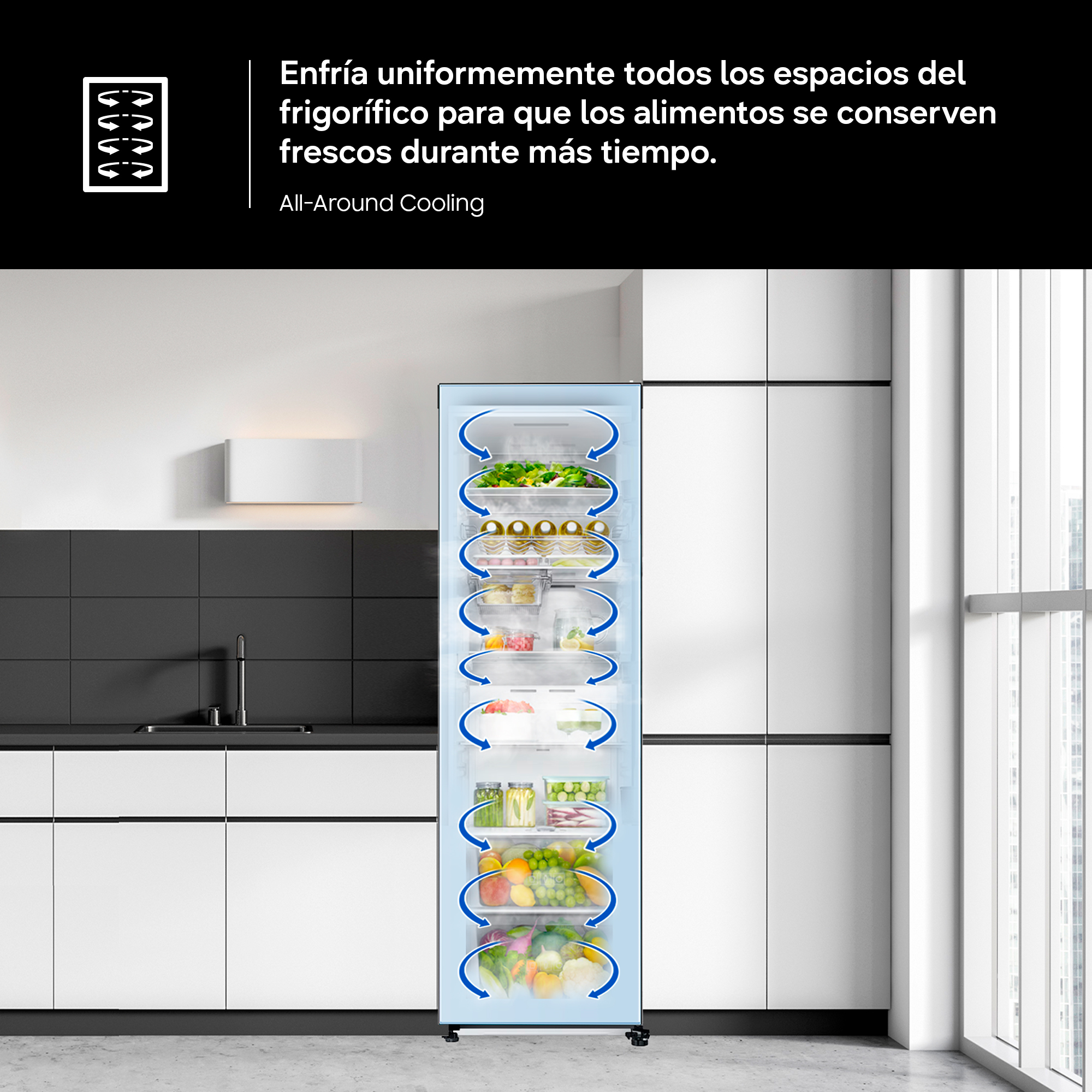 Imagen adicional del producto